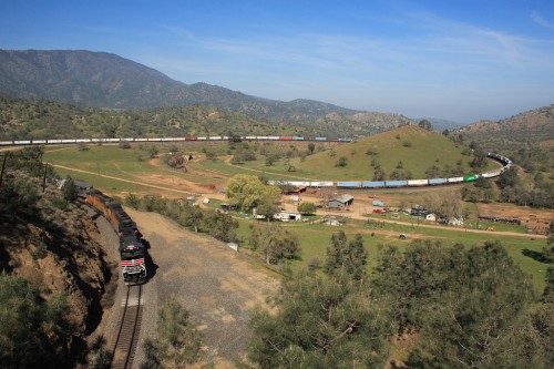 hornoxe.com_picdump255_157