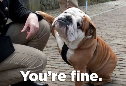 hornoxe.com_picdump255_163