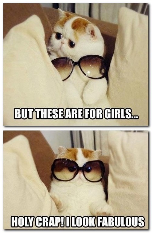 hornoxe.com_picdump256_024