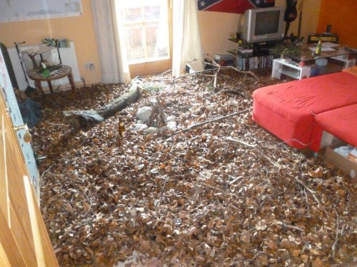 hornoxe.com_picdump256_059