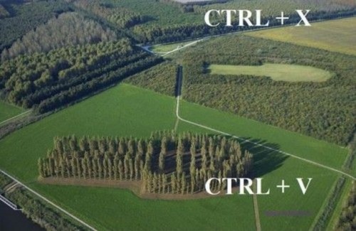 hornoxe.com_picdump256_083