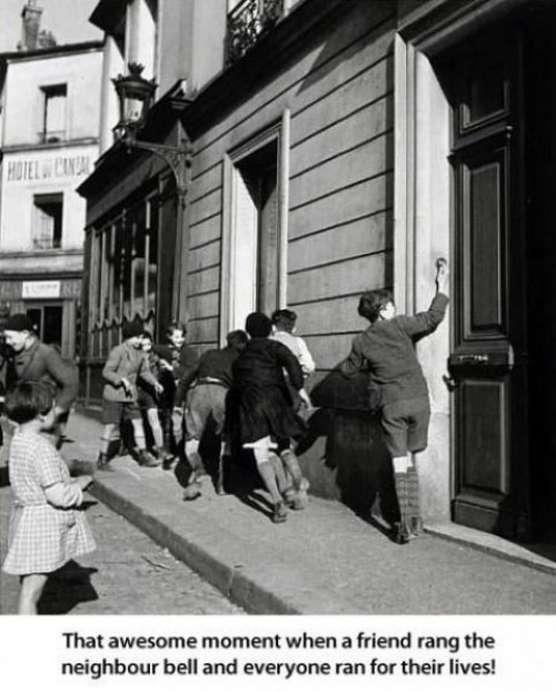 hornoxe.com_picdump256_095