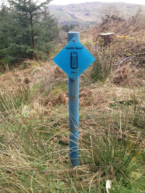 hornoxe.com_picdump256_111