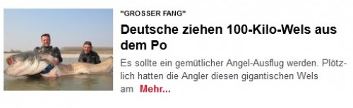 hornoxe.com_picdump256_114