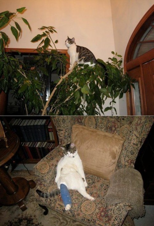 hornoxe.com_picdump256_122