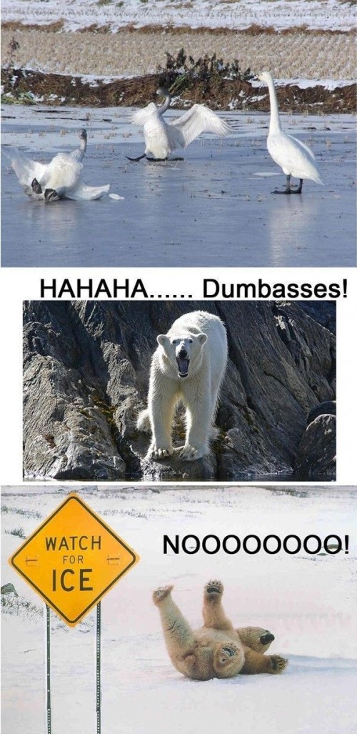 hornoxe.com_picdump256_123