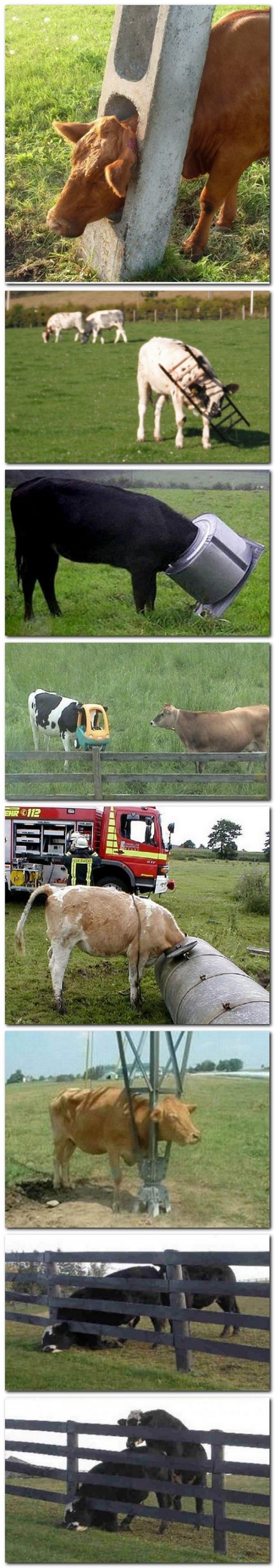 hornoxe.com_picdump257_009