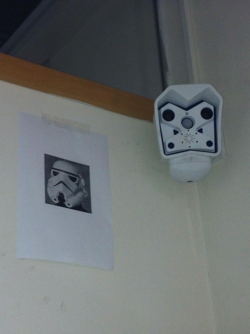 hornoxe.com_picdump257_080