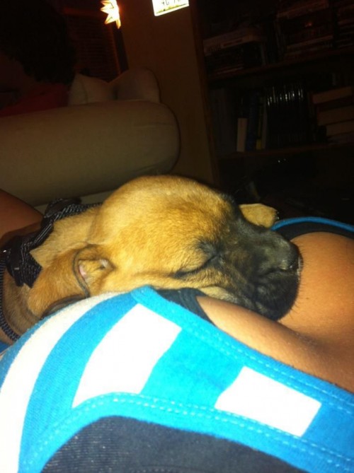 hornoxe.com_picdump257_082