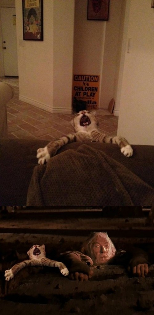 hornoxe.com_picdump257_119