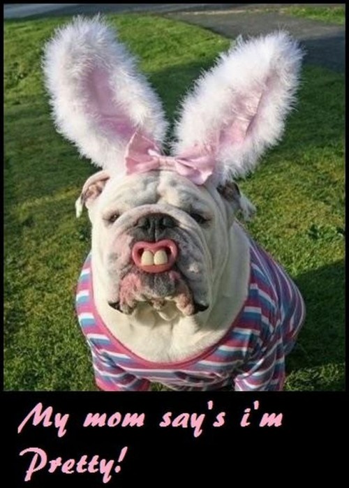 hornoxe.com_picdump257_127