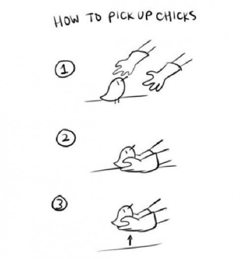 hornoxe.com_picdump257_134