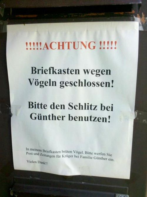 hornoxe.com_picdump258_002