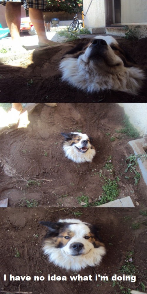 hornoxe.com_picdump258_023