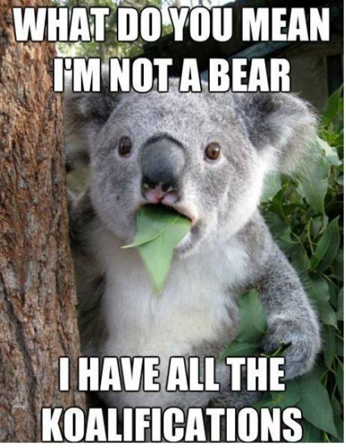 hornoxe.com_picdump258_045