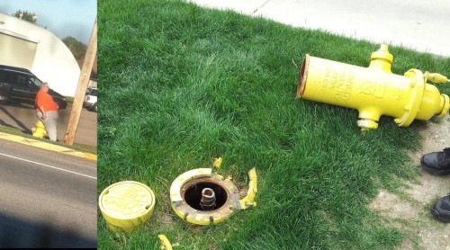 hornoxe.com_picdump258_076