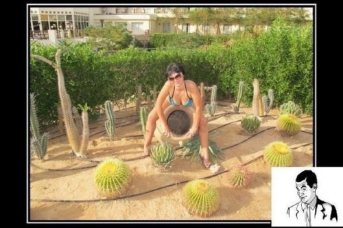 hornoxe.com_picdump258_080