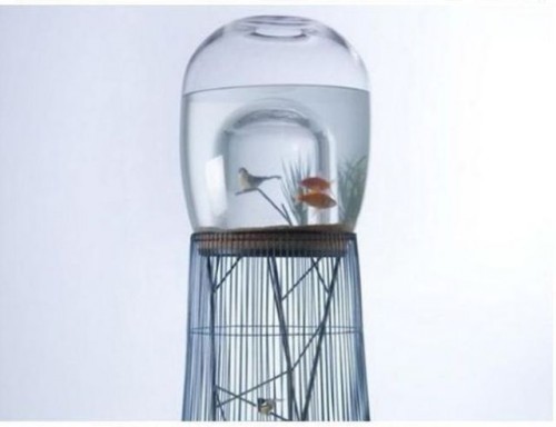 hornoxe.com_picdump258_093