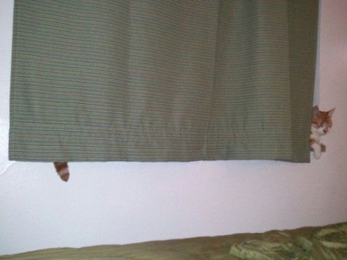 hornoxe.com_picdump258_108