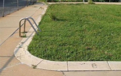 hornoxe.com_picdump258_109