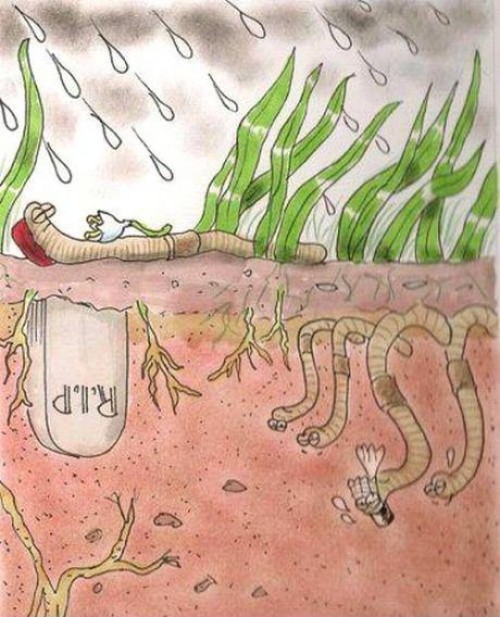 hornoxe.com_picdump259_026