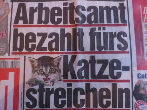 hornoxe.com_picdump259_027