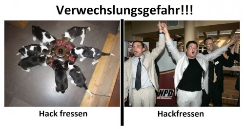 hornoxe.com_picdump259_030