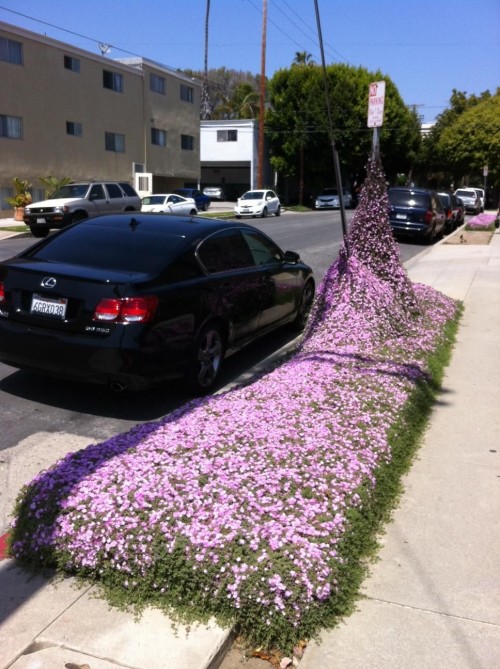 hornoxe.com_picdump259_073