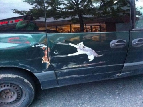 hornoxe.com_picdump259_092