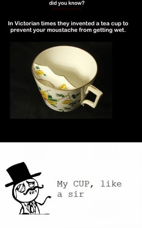 hornoxe.com_picdump259_094