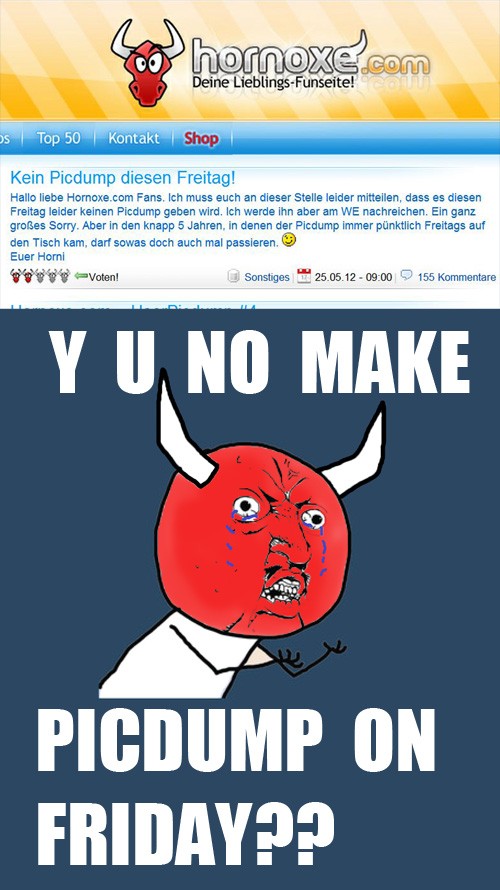 hornoxe.com_picdump260_001