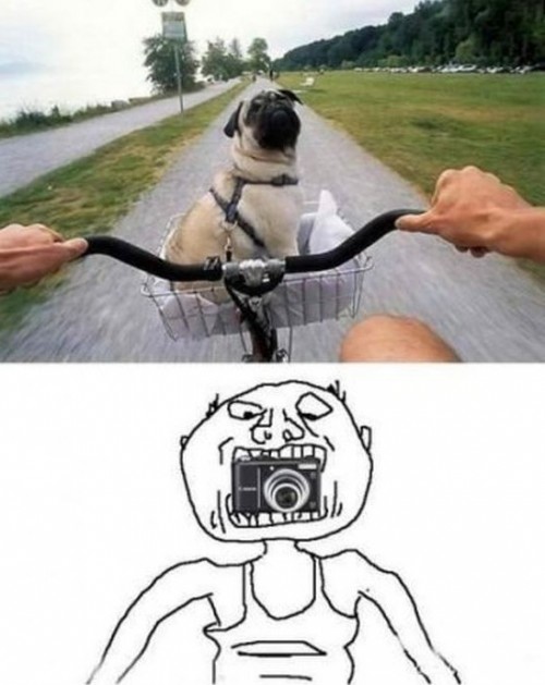 hornoxe.com_picdump260_012