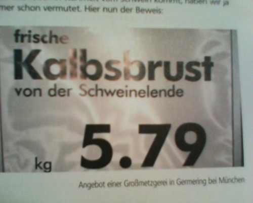 hornoxe.com_picdump260_021