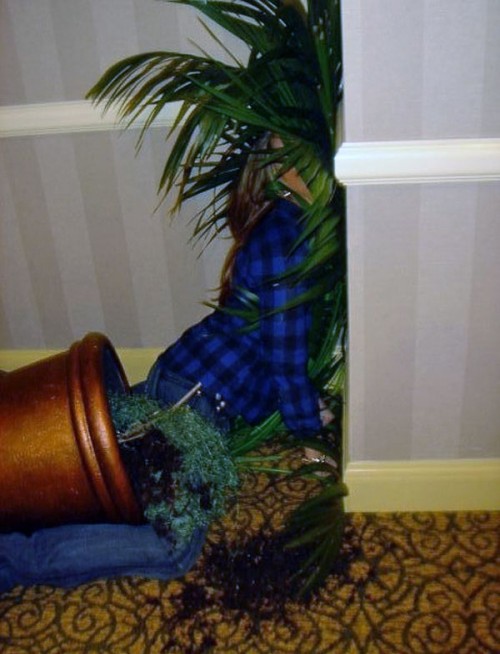 hornoxe.com_picdump260_054