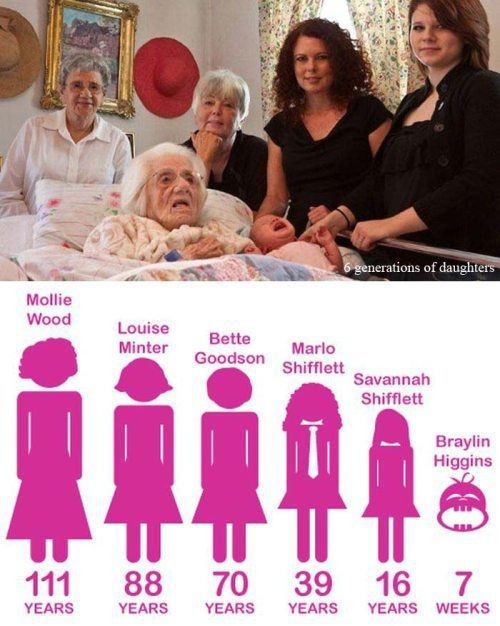 hornoxe.com_picdump260_065