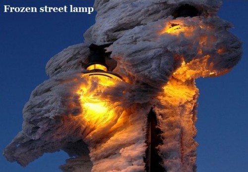 hornoxe.com_picdump260_075