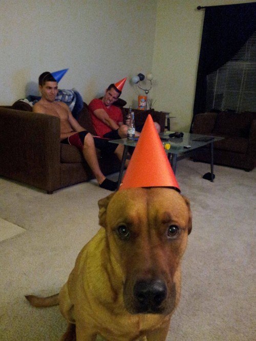 hornoxe.com_picdump260_095