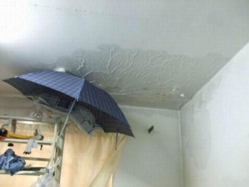 hornoxe.com_picdump260_115