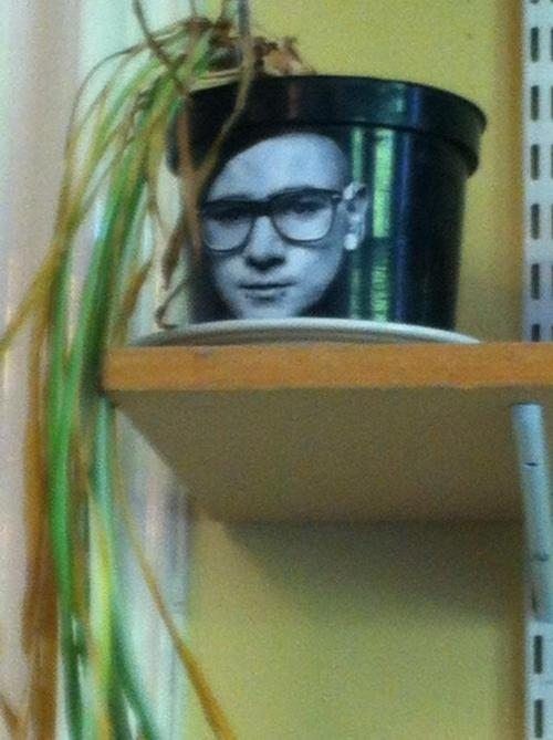 hornoxe.com_picdump260_117