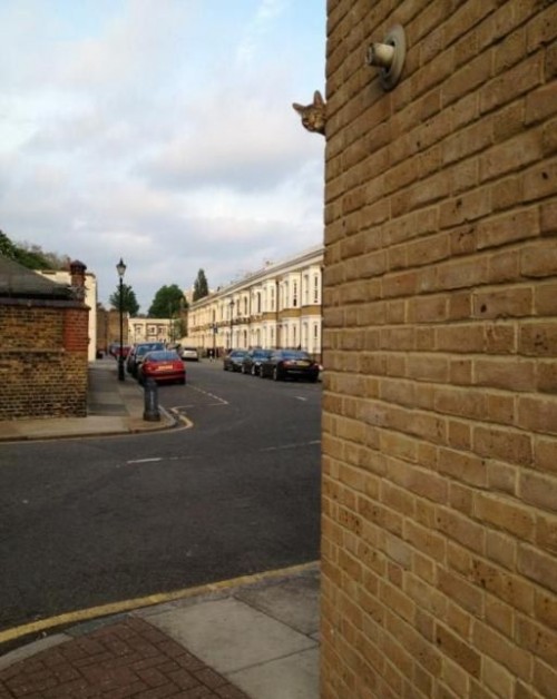 hornoxe.com_picdump260_121