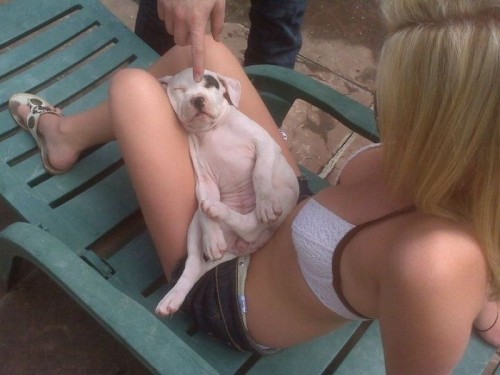 hornoxe.com_picdump260_124