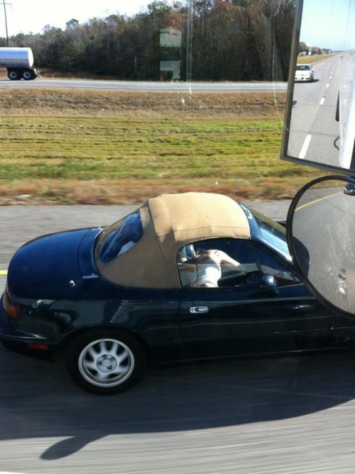 hornoxe.com_picdump260_135