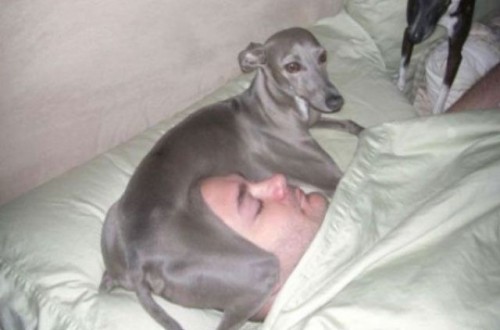 hornoxe.com_picdump260_148