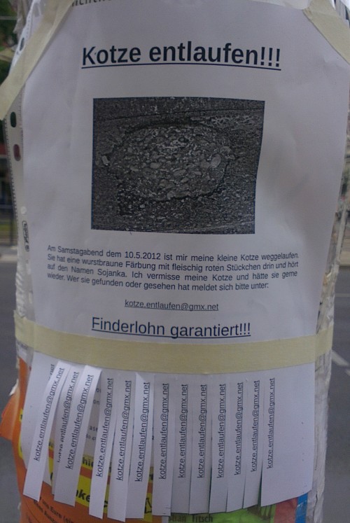 hornoxe.com_picdump260_156