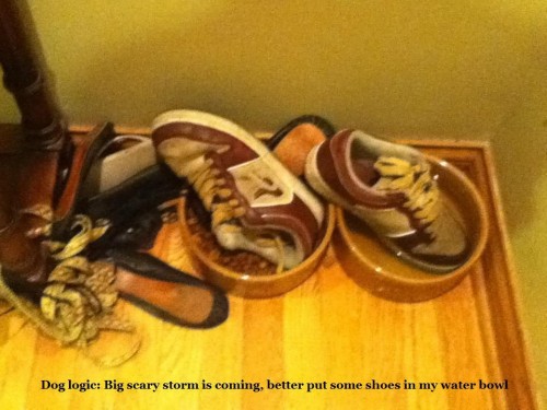 hornoxe.com_picdump260_165