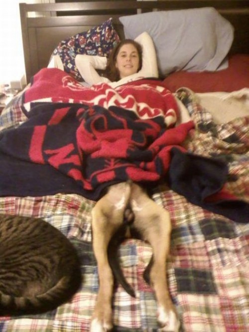 hornoxe.com_picdump260_181