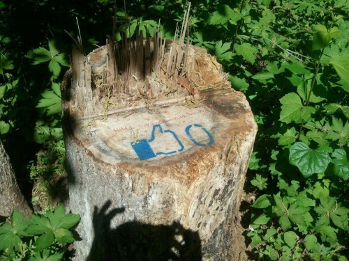 hornoxe.com_picdump260_184