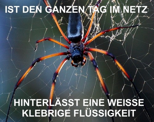 hornoxe.com_picdump261_002