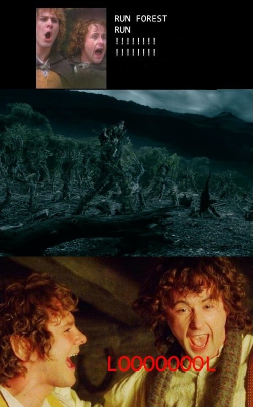 hornoxe.com_picdump261_019