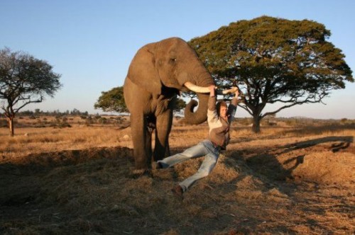 hornoxe.com_picdump261_071